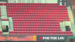 Cardinals fans react to lackluster season and low attendance numbers [upl. by Hootman]