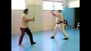 Cours particulier de sabre avec utilisation des positions directionelles du KiaïJitsu [upl. by Vassell]