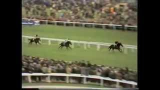 Light Cavalry The 1980 St Leger Stakes Doncaster [upl. by Laith363]