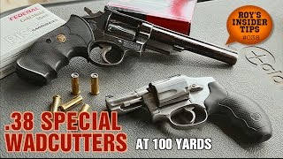 38 Special Wadcutters At 100 Yards [upl. by Nnyrat]