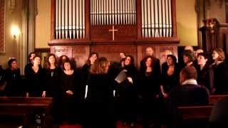 Senti le rane che cantano  Coro Arcanto  KOMOSampCo 2013 [upl. by Wertz]