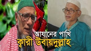 Emotional Beautiful Azan Qari Ubaydullah BD  আযানের পাখি ক্বারী উবায়দুল্লাহ [upl. by Knah]