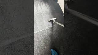 Carpet Steam Cleaning  Home Cleaning steamclean cleaningcarpet cleaningservice [upl. by Ahsemak111]