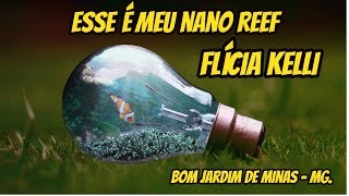 Esse é meu NANO REEF  Flícia Kelli [upl. by Peri]