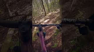 Intro nouvelle Trail de MTB au Sentiers du Moulin Ben Bouchard vidéo 23 mtb sdm velodemontagne [upl. by Gayle]