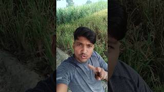 Ham unse mohabbat karte hai 🫣🫣😭💔shorts viralvideo [upl. by Frierson]