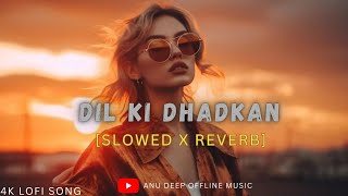 Dil Ki Dhadkan Slowed  Reverb  Mind Fresh Lofi Song Mind Relax Lofi Mashup  Anu Deep Tirkey [upl. by Tikna754]