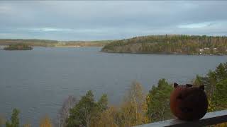 Slow TV  view of lake Mälaren 31st of october 2024 10 amnoon [upl. by Jobie]