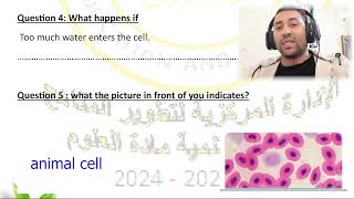 week test grade 6 اختبارات الاسبوع الاول [upl. by Holey451]