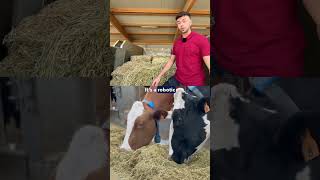 How do they produce milk without corn silage and haylage [upl. by Aicinad11]