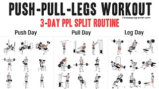 3 Day Push Pull Legs PPL Workout Routine [upl. by Assinna]