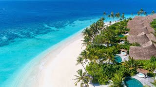 Milaidhoo Island Maldives 2024  The Perfect Honeymoon Resort in Maldives [upl. by Boiney]