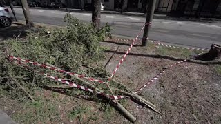 Maltempo a Torino si contano i danni causati dalla grandine [upl. by Nuy]