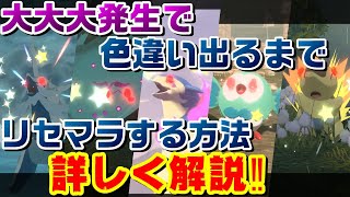 【PLA】色違いがでるまで一つの大大大発生をリセマラする方法を解説‼【ポケモンレジェンズアルセウス】 [upl. by Anikehs979]