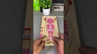 Interesting puzzles help you learn about body organs and structures [upl. by Demp]