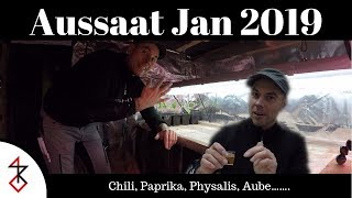 Aussaat Januar 2019  Endlich ist es soweit [upl. by Thirza]