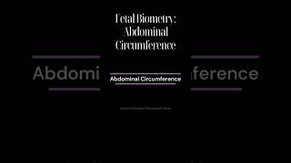 Abdominal Circumference AC [upl. by Shelia213]