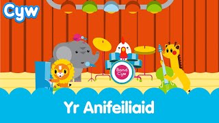 Cân yr Anifeiliaid  The Animals Song  come and meet Cyws friends Welsh sing along nursery rhymes [upl. by Eldreda29]