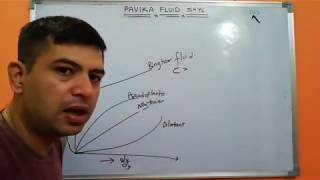 Classification of fluids [upl. by Lehsreh]