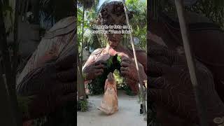 Lo mejor en tulum por hacer tulum viralshort travel viajeros viralvideo mochileros [upl. by Ezirtaeb]