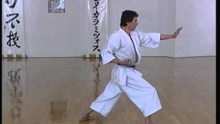 Wankan  Efthimios Karamitsos  Karate  Kata  Shotokan [upl. by Notnilk]