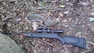 Gamo big cat 1250 reveiw [upl. by Amleht]