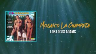 La Champeta  Los Locos Adams  Discos Fuentes [upl. by Denver]