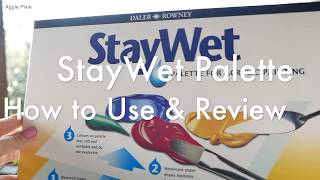 How to Use a Stay Wet Palette ReviewDalerRowney [upl. by Faye]