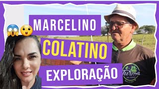 MARCELINO COLATINO EXPLORAÇÃO 😱 [upl. by Melvena871]