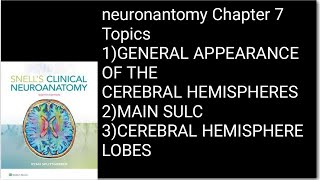 Neuronantomy Chapter 7CEREBRAL HEMISPHERESMAIN SULCI NeuroanatomyNeurosciencesanatomy [upl. by Anelrihs]