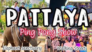 Thailand  Pattaya Walking Street  Elephant Sanctuary [upl. by Yong]