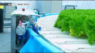 Amazing Hydroponic farm Japan Gandpa Dome [upl. by Delcina]