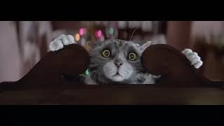 Sainsburys Christmas Advert  2015  Mogs Christmas Calamity [upl. by Ecurb]