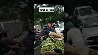 Sayur murah abang sayur membagi bagikan kesemua yang lewat shorts [upl. by Rutherford]