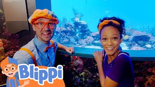 Blippi Visits the Aquarium of the Pacific  Fun and Educational Videos for Kids [upl. by Aihsyt]