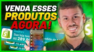 TOP 5 PRODUTOS PARA VOCÊ VENDER MUITO EM 2024 DROPSHIPPING 2024 [upl. by Aduhey]