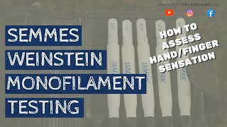 How to Administer the Semmes Weinstein Monofilament Test [upl. by Damour]