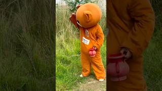 Mr Teddy bear fanny video comedy funnyteddy stuffedanimal funny funteddy teddybear toocute [upl. by Atteiluj544]