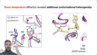 TSRC Workshop on Protein Dynamics James Fraser [upl. by Nevak]