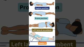 Anatomical position nursing knowledge [upl. by Ivel]