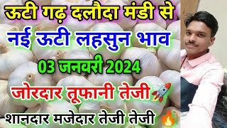 दलोदा मंडी आज का नई ऊटी लहसुन का भाव 03 जनवरी 2024 new ooty garlic rate today dalodanai lahsun [upl. by Edlihtam246]