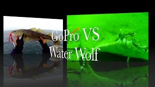 GoPro VS Water Wolf  Close up shots of FlukeFlounders  Oresund [upl. by Enihpad]