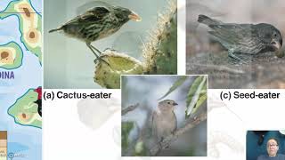 Pre and Post zygotic barriers [upl. by Rickey]