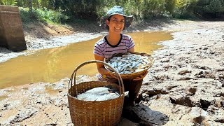 Tempo de seca fizemos a limpeza ecológica do açude e garantimos peixes para muitos dias [upl. by Berghoff369]