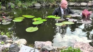 Winter Hardy Water Lilies Pond Megastore Introduction [upl. by Bijan]