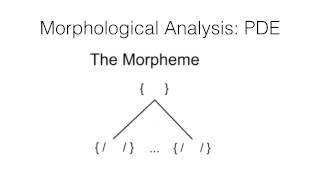 Morphology Part1 [upl. by Eirbua]