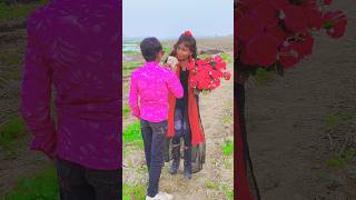 Kati Raat Maine Kheton Mein Tu Aayi Nahi 2024 Song shorts vairal trending love [upl. by Abehs]