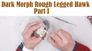 Rough Legged HawkDark morph Part 1 The neck Skull wiring [upl. by Haroppiz357]