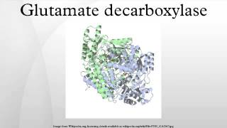 Glutamate decarboxylase [upl. by Artimid326]