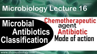 Chemotherapeutic agents microbiology [upl. by Ramalahs455]